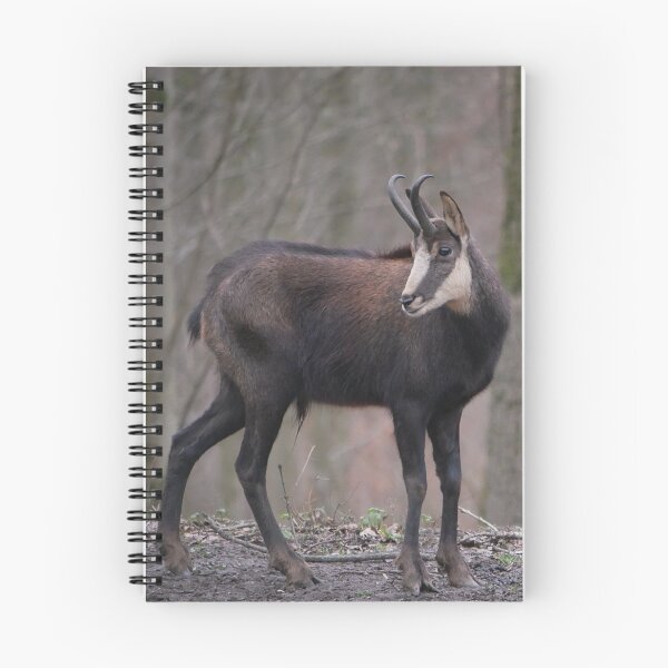 Item preview, chamois designed and sold by Jasardpu.