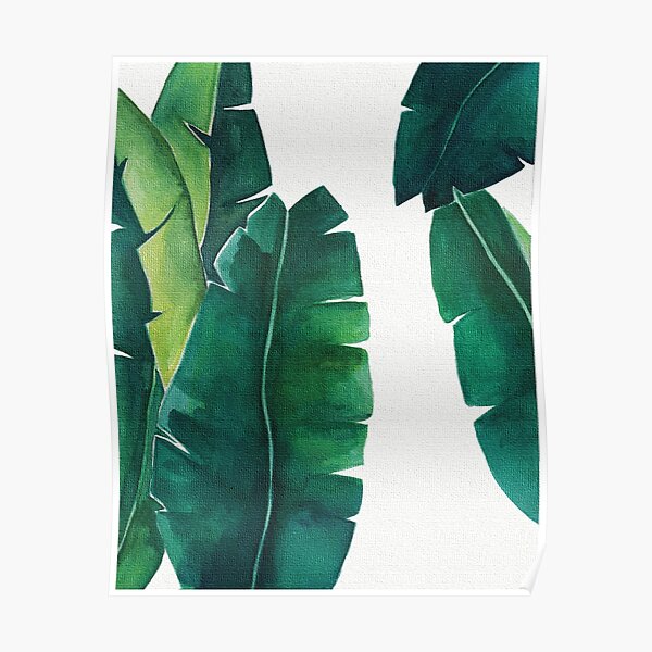 Banana leaves with wonderful contrast and canvas effect. Poster