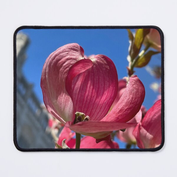 Item preview, Blustery Dogwood designed and sold by Pisces-Pics.