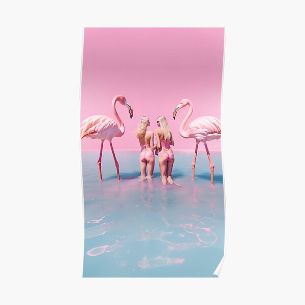 Women with flamingos Poster