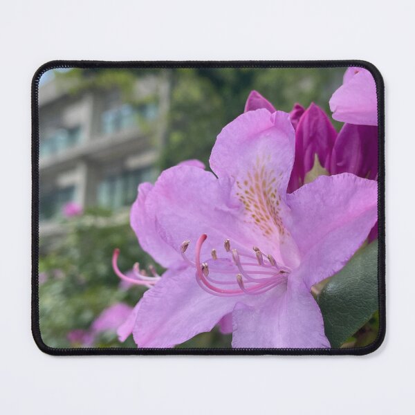 Item preview, Rhododendron Before Clapp designed and sold by Pisces-Pics.