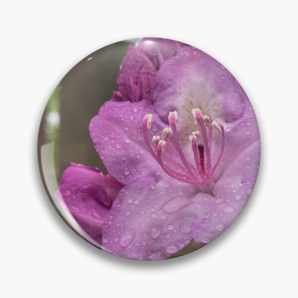 Item preview, Rhododendron in the Rain designed and sold by Pisces-Pics.