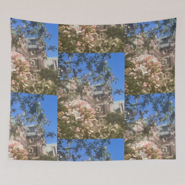 Item preview, Claflin Hall designed and sold by Pisces-Pics.