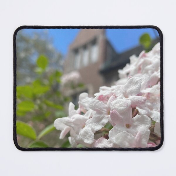Item preview, Academic Quad in Bloom designed and sold by Pisces-Pics.