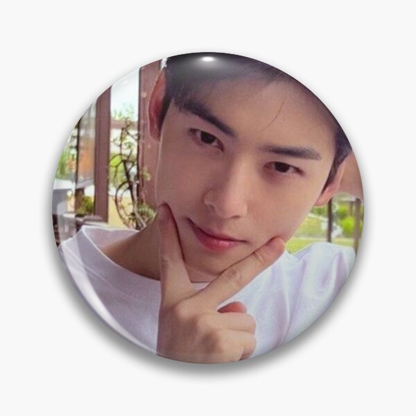 Item preview, cha eun woo designed and sold by wyfrandesign.