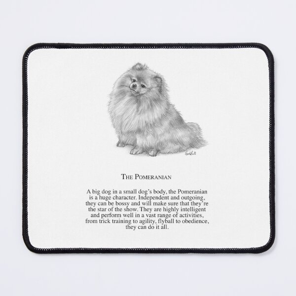 Item preview, The Pomeranian designed and sold by Elspeth Rose Design.