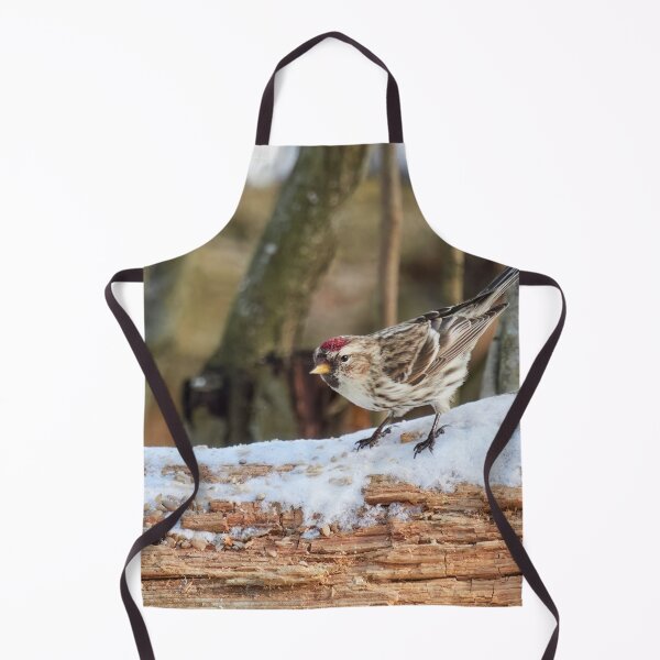 Item preview, Curiosity. Mealy redpoll designed and sold by Jouko Lehto Photography.