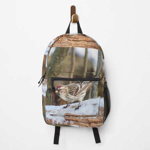 Item preview, Curiosity. Mealy redpoll designed and sold by Jouko Lehto Photography.