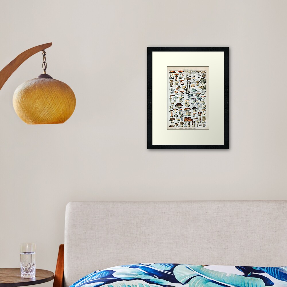 Vintage Edible Mushroom Chart Framed Art Print