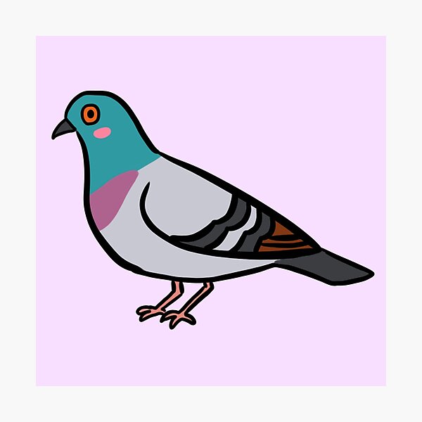 Flying dove pigeon realistic ink sketch of wild Vector Image