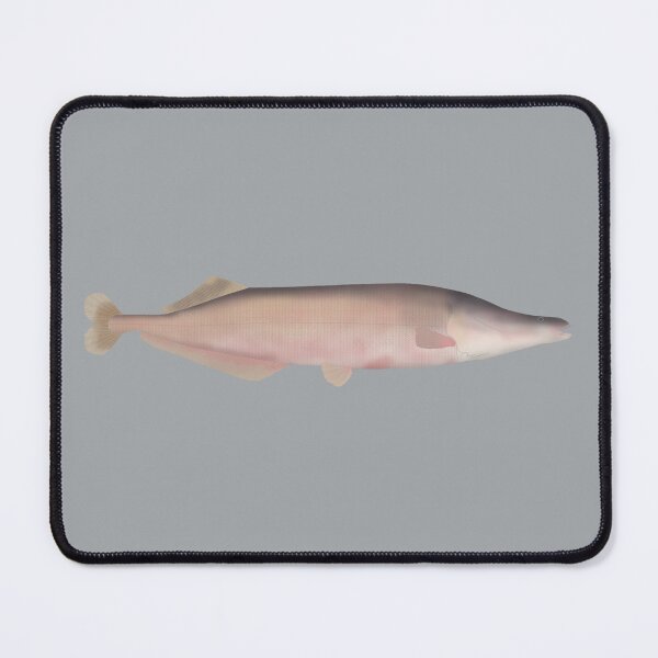 Item preview, Cornish Jack designed and sold by fishfolkart.