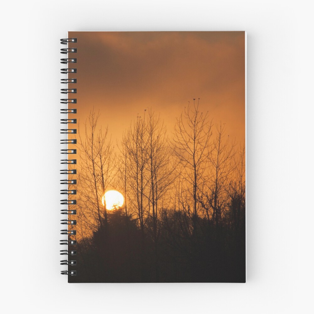 Item preview, Spiral Notebook designed and sold by Patterns4Nature.