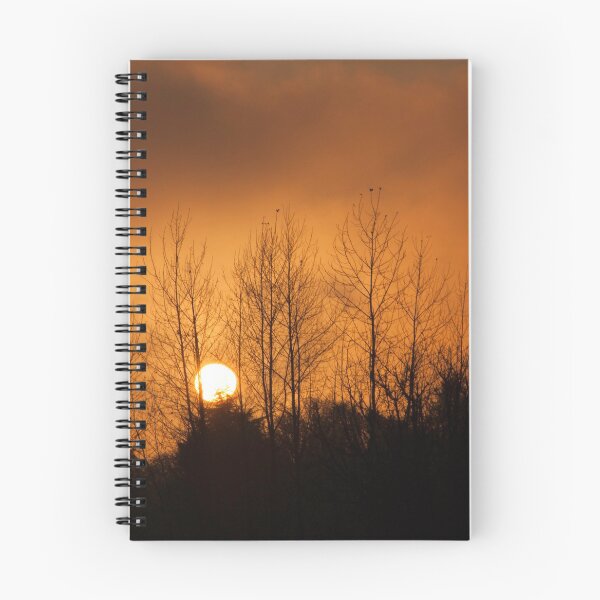 Aperçu de l'œuvre Le coucher du soleil créée et vendue par Patterns4Nature.
