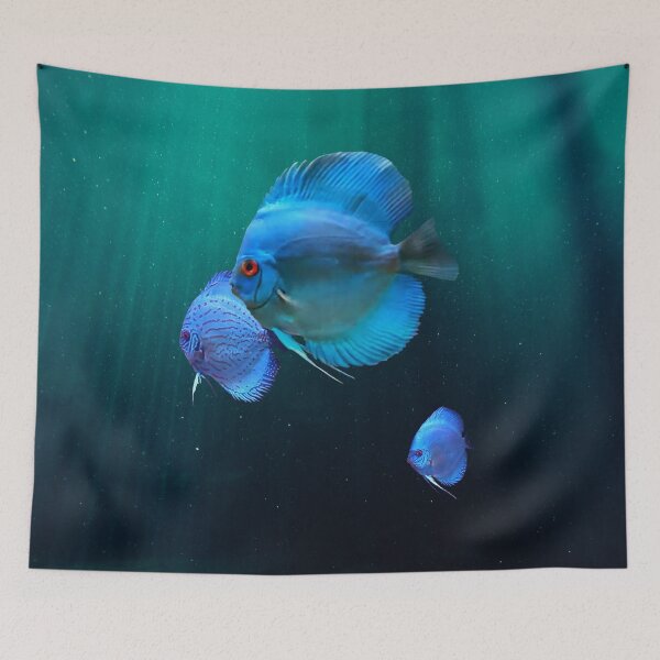 Item preview, COBALT BLUE DISCUS FISH designed and sold by Danicus666.