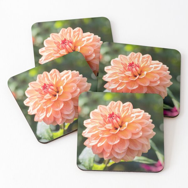 Item preview, An Autumn Waterlily Dahlia designed and sold by Tanya C  Smith.
