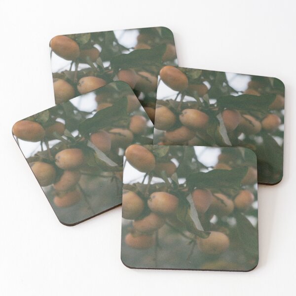 Item preview, Some Moody Persimmons designed and sold by chiomaamanda.