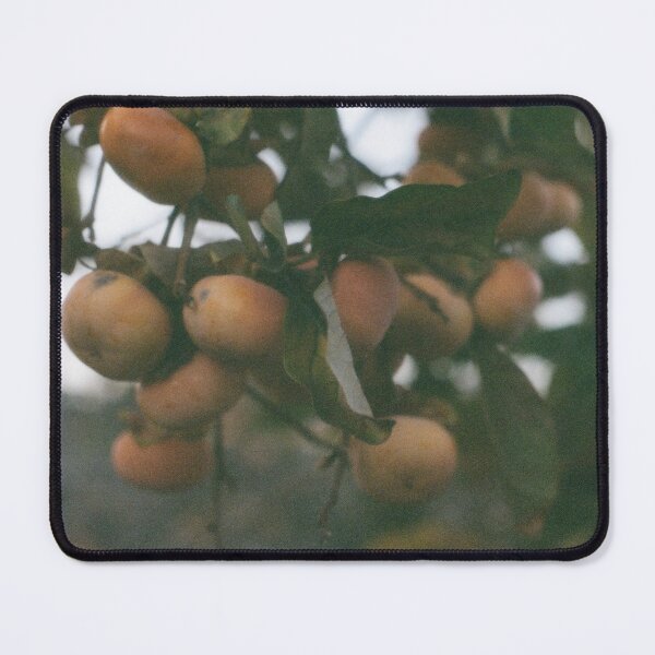 Item preview, Some Moody Persimmons designed and sold by chiomaamanda.
