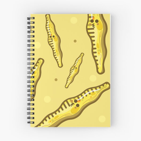 Item preview, Cute diatoms pattern, Plankton cartoon, Algae art, Microalgae lovely designed and sold by thurakitdew.