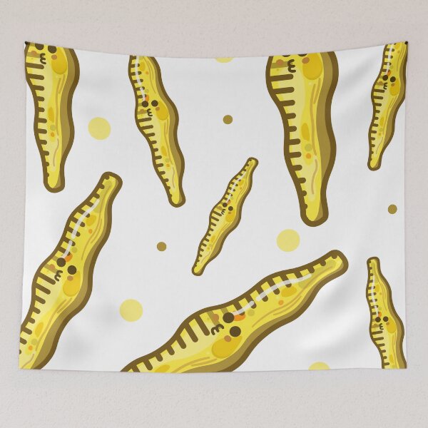 Item preview, Cute diatoms pattern, Plankton cartoon, Algae art, Microalgae lovely designed and sold by thurakitdew.