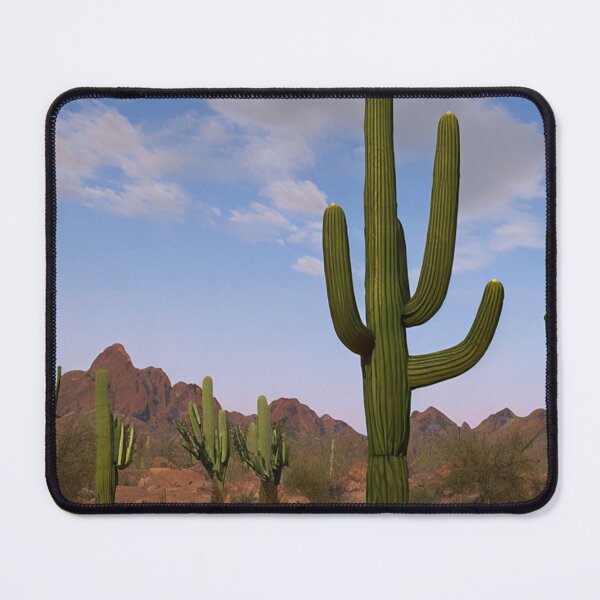 Item preview, Sonoran Desert/ Sonoran Desert Cactus designed and sold by alayal57.