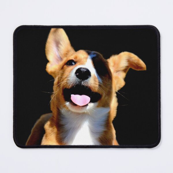 Item preview, Podenco Pup designed and sold by AH Fotography.
