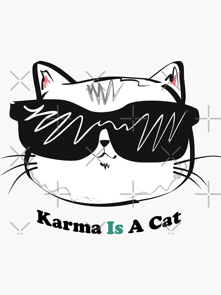 Karma is a Cat Sticker  Taylor Swift Vinyl Stickers – handsomeprintsdesign