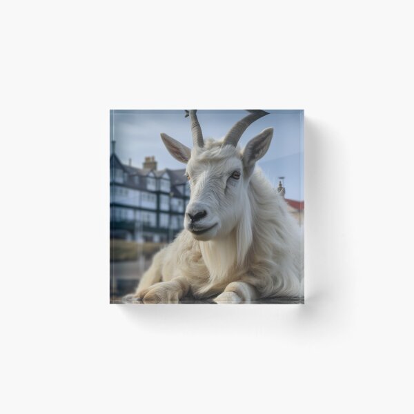 Item preview, mountain goat in llandudno designed and sold by quechic.