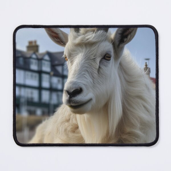 Item preview, mountain goat in llandudno designed and sold by quechic.