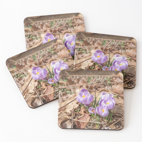 Item preview, The Spring Crocus designed and sold by Jkund19.