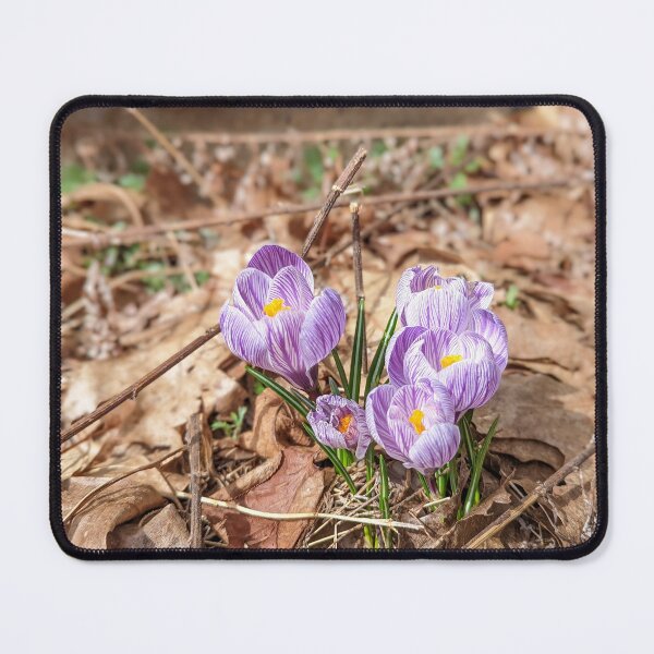 Item preview, The Spring Crocus designed and sold by Jkund19.