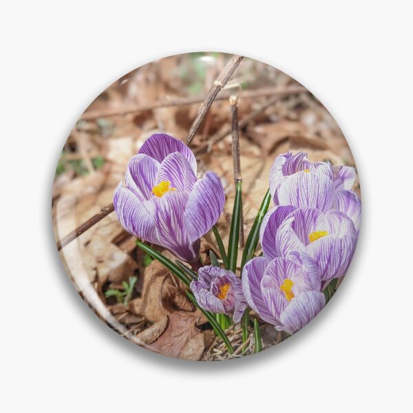 Item preview, The Spring Crocus designed and sold by Jkund19.