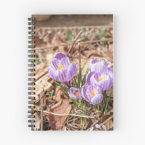 Item preview, The Spring Crocus designed and sold by JkundArt.
