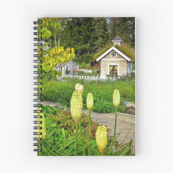 Item preview, Yellow Kniphofias at Boothbay. designed and sold by Viv Thompson Photography .
