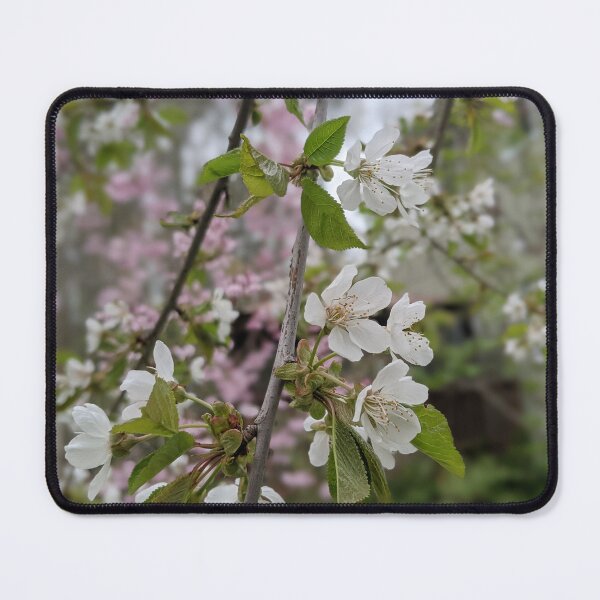 Item preview, White Cherry Blossom  designed and sold by Jkund19.