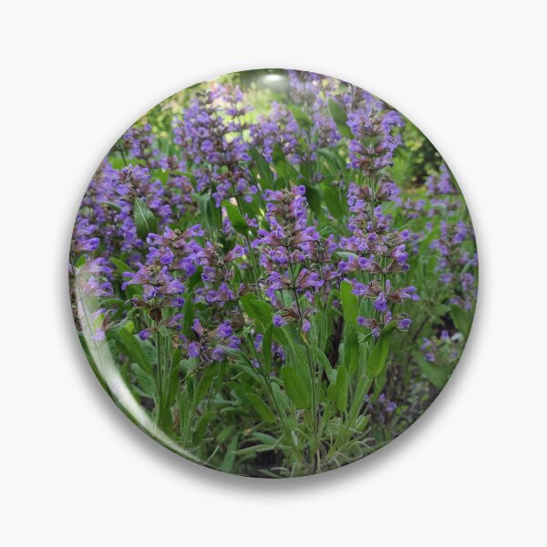 Item preview, Flowering Sage designed and sold by Gourmetkater.