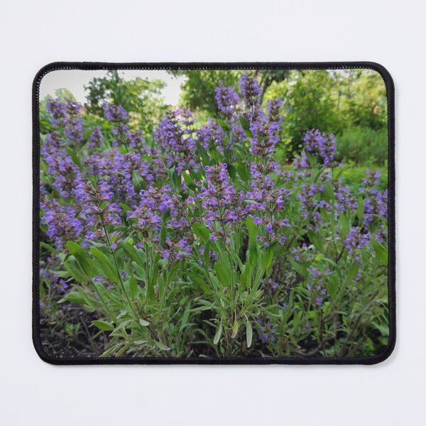Item preview, Flowering Sage designed and sold by Gourmetkater.