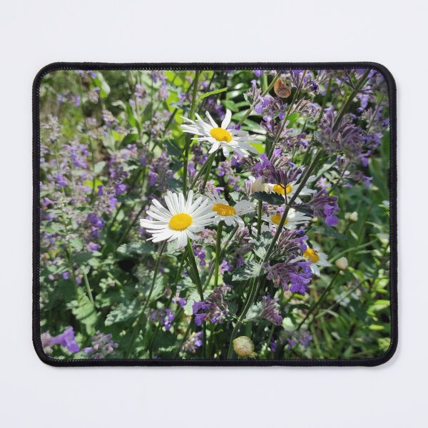Item preview, Catnip with daisy designed and sold by Gourmetkater.