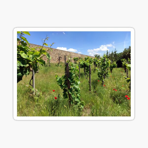 Item preview, vineyard designed and sold by Gourmetkater.