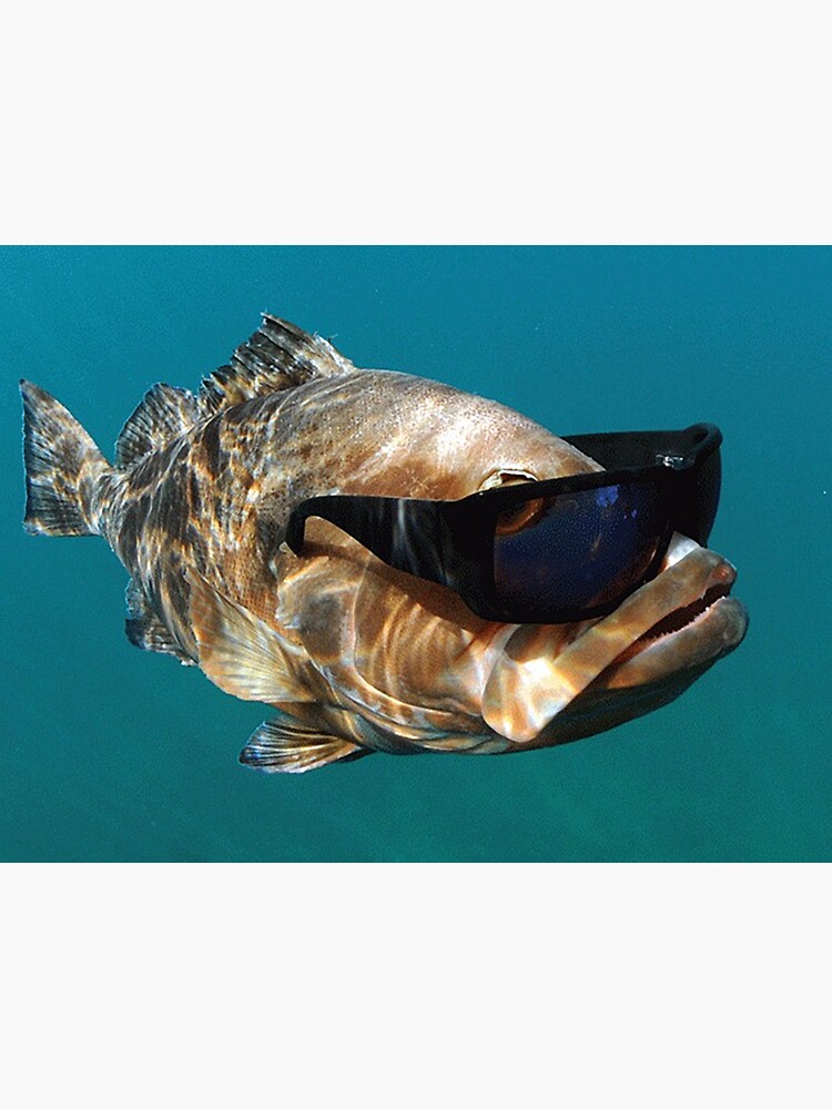 Cool Fish Wearing Glasses | Magnet