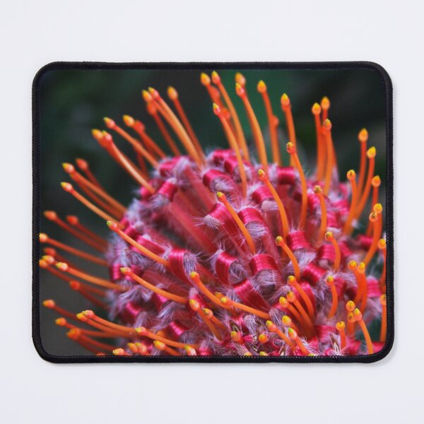 Item preview, Mother Nature's Art designed and sold by heatherfriedman.