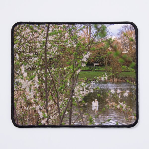 Item preview, Spring Dream designed and sold by Vicki Spindler (VHS Photography).