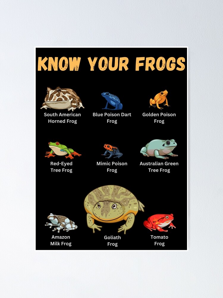 Blue Poison Dart Frog Poster Print / Infographic