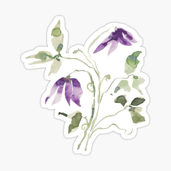 Clematis - Watercolor Purple Wildflowers Sticker