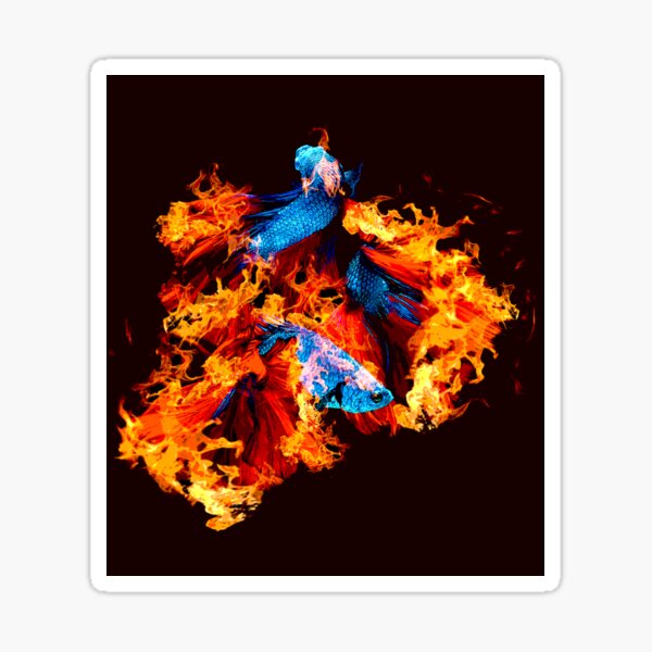 Flaming Betta Sticker