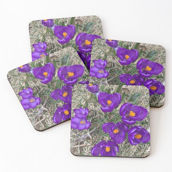 Item preview, invicta spes designed and sold by Amanda1775.