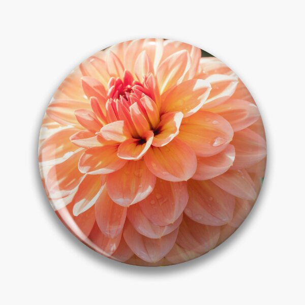 Item preview, An Autumn Waterlily Dahlia designed and sold by Tanya C  Smith.