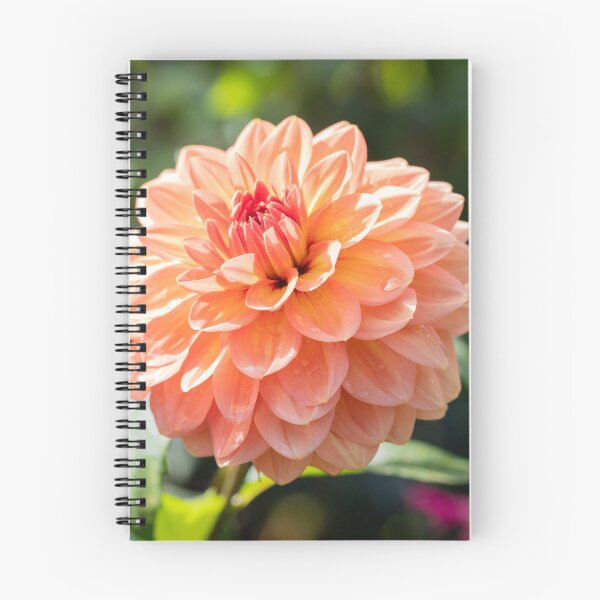 Item preview, An Autumn Waterlily Dahlia designed and sold by Tanya C  Smith.