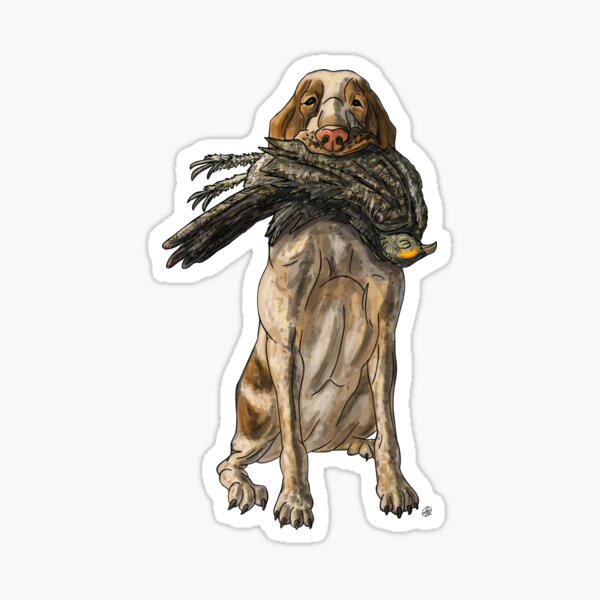 Fowl-mouth Bracco Italiano Sticker