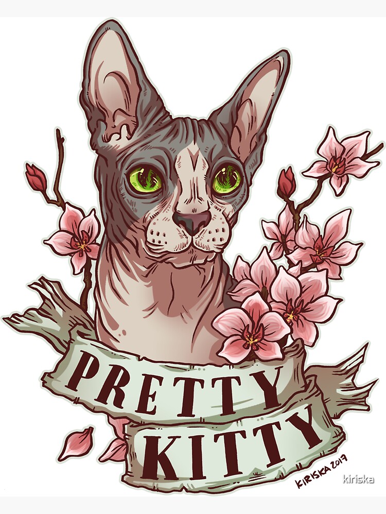 Pretty Kitty by kiriska