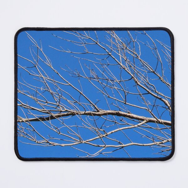 Item preview, Tree branch, blue sky designed and sold by Jmb67.